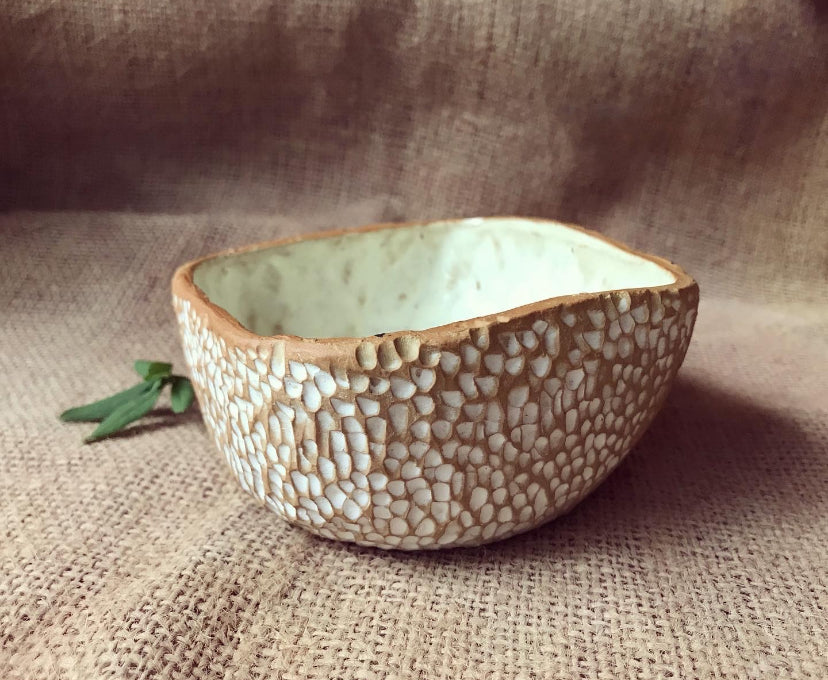 Workshop - Domingo 14 de Diciembre 10:00am